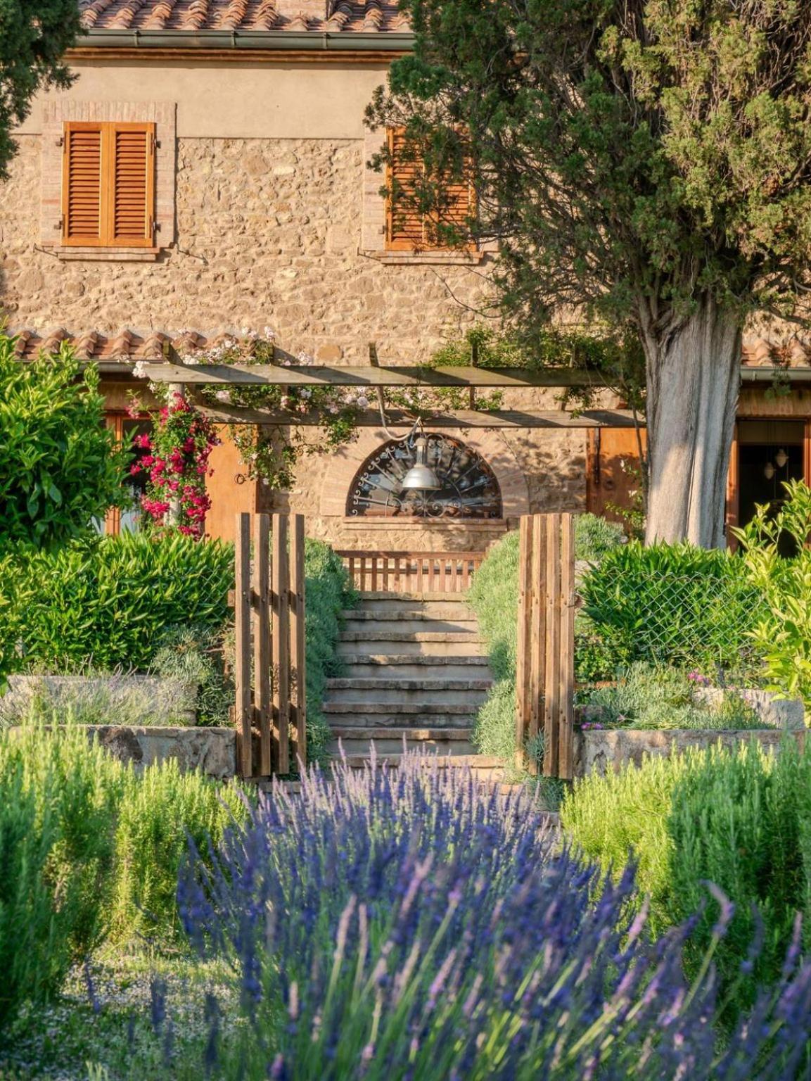 Podere Le Mezzelune Bibbona Εξωτερικό φωτογραφία