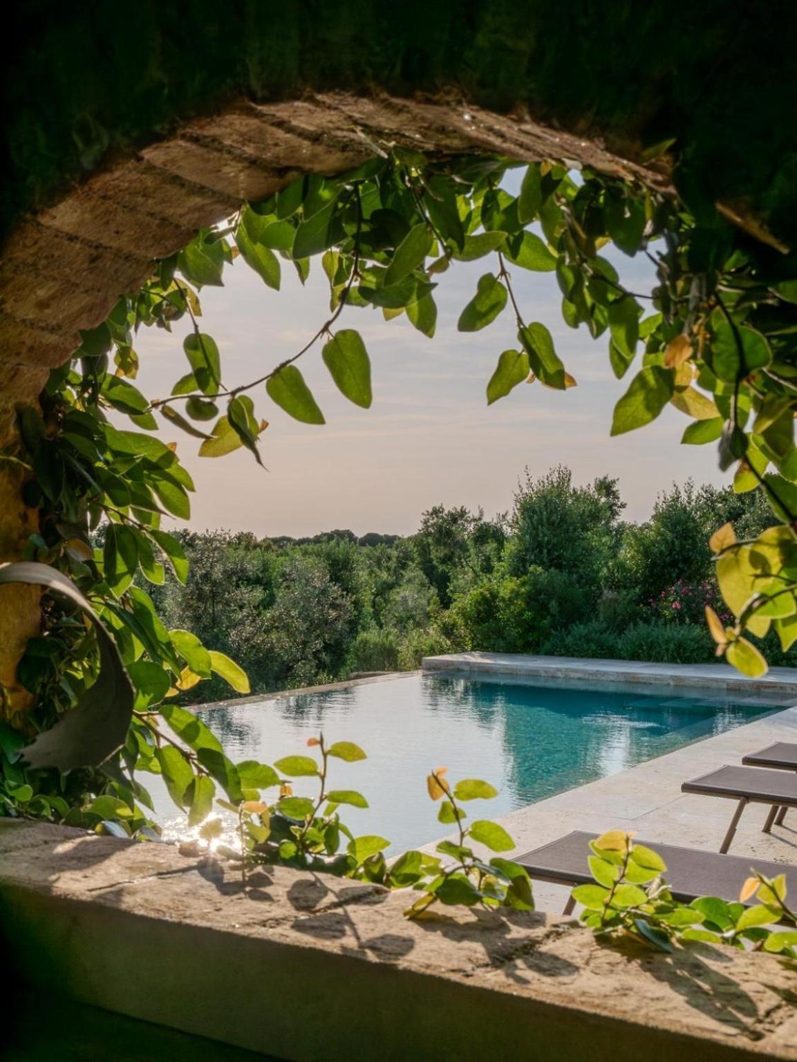 Podere Le Mezzelune Bibbona Εξωτερικό φωτογραφία