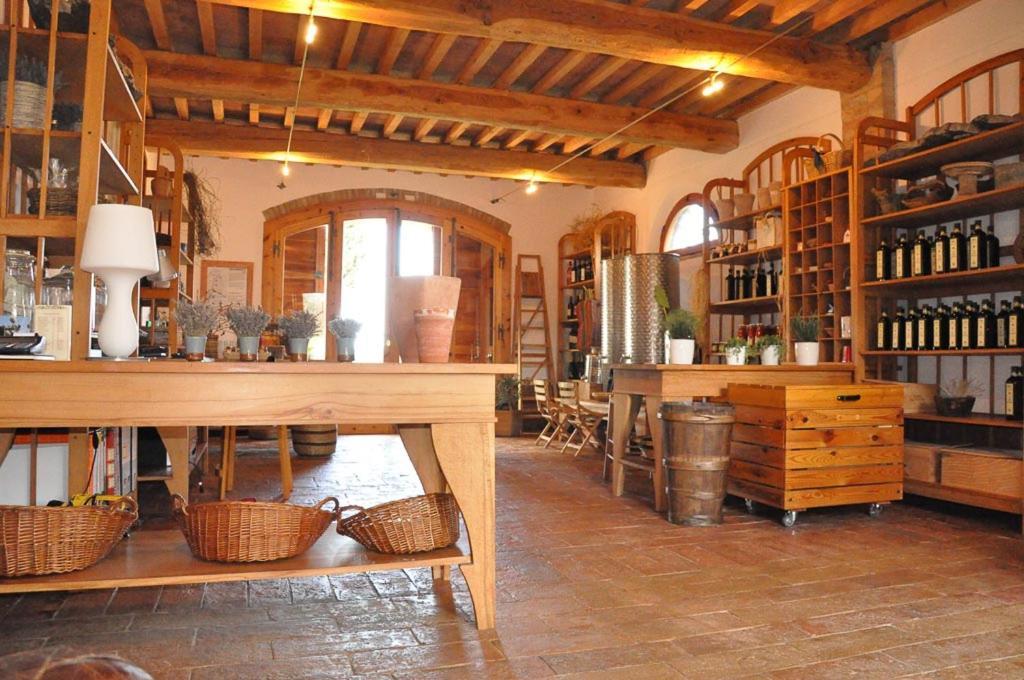Podere Le Mezzelune Bibbona Εξωτερικό φωτογραφία